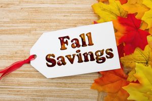 Fall savings on website re-design